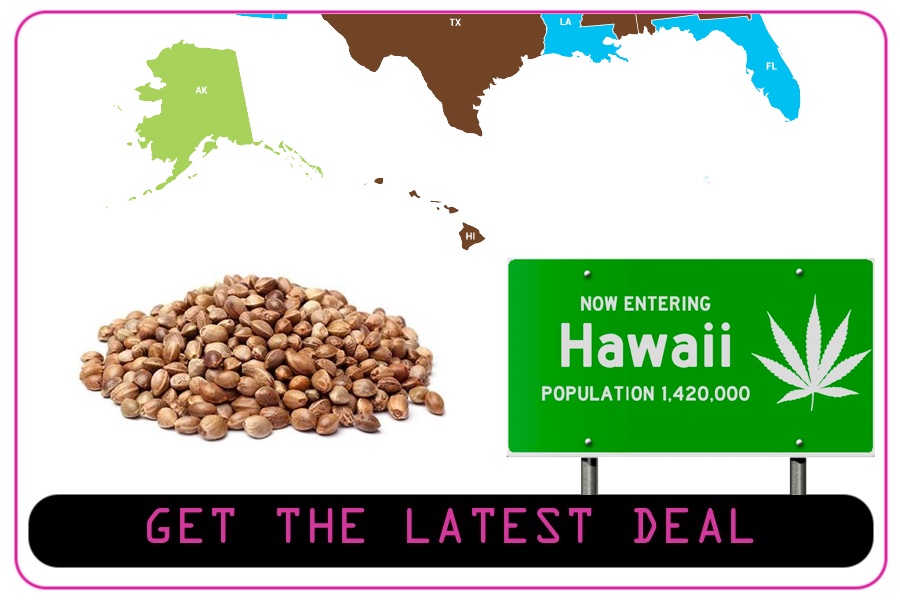 Hawaii Cannabis Seeds