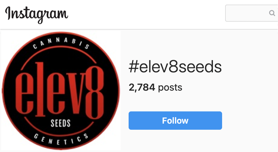 #elev8seeds