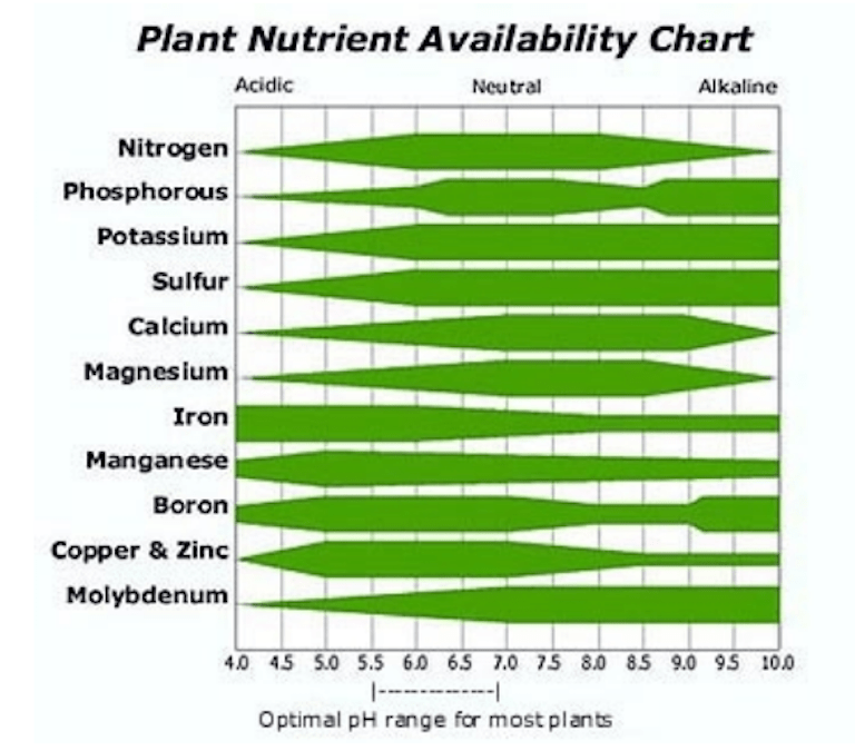 pH Level