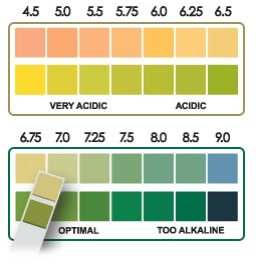 ph Level after cutting