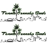 Toronto Cannabis Seed Bank