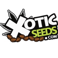 Xotic Seed Bank
